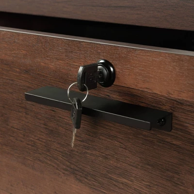 Briarbrook 2 Drawer Lateral File Barrel Oak - Sauder - Image 4