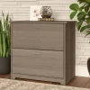 Cabot 2 Drawer File Cabinet Ash Gray - Bush Furniture