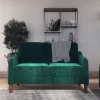 Penny 2 Seater Loveseat Sofa Green Velvet - Room & Joy